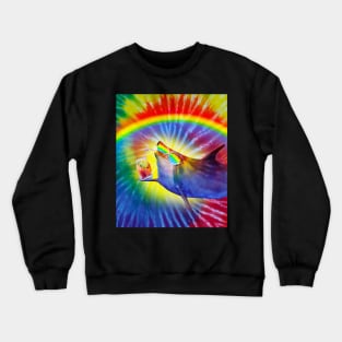 Sunglasses Dolphin On Trippy Rainbow Tie Tye Dye Crewneck Sweatshirt